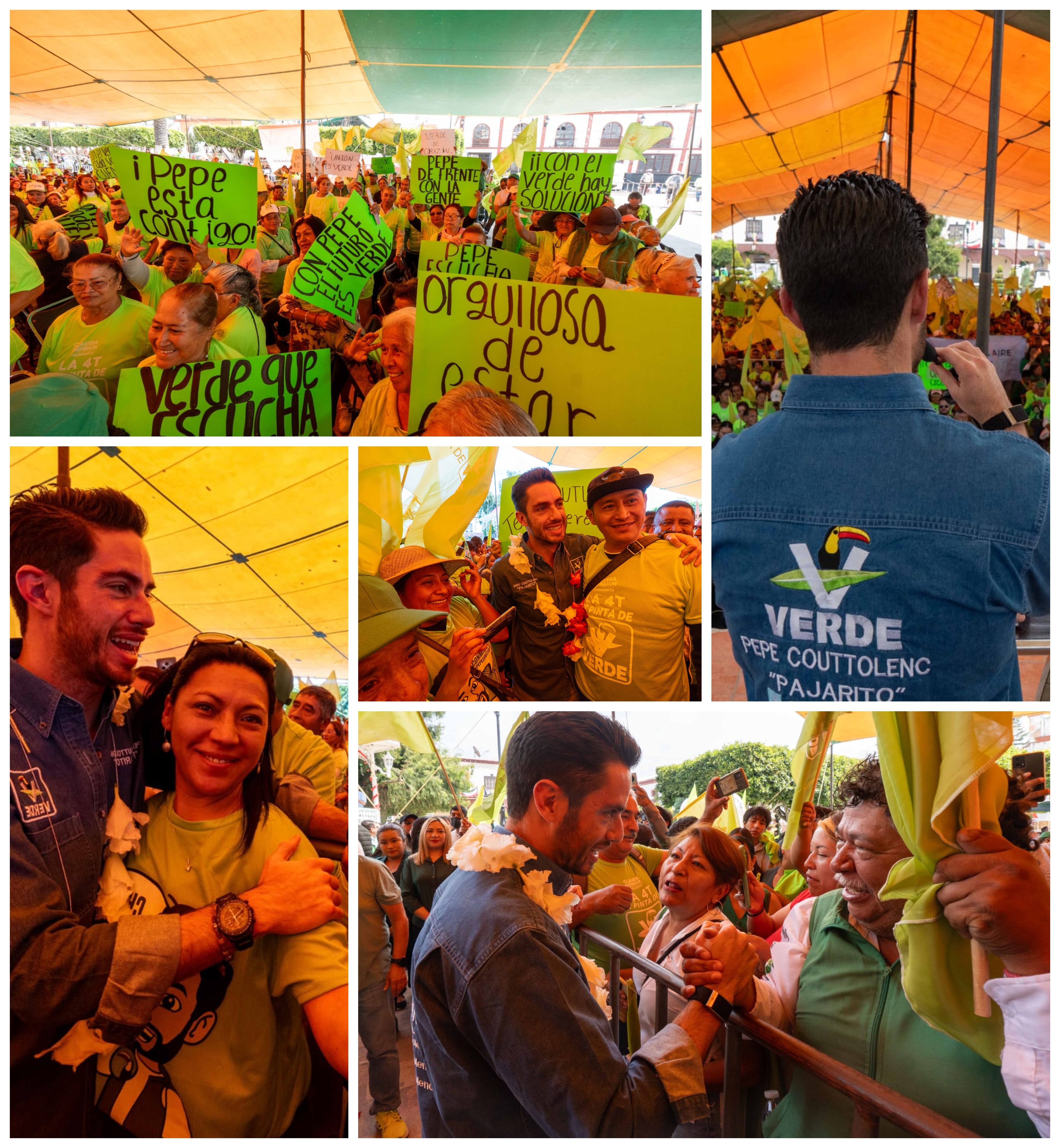 La fuerza del Verde presente en la región de los volcanes