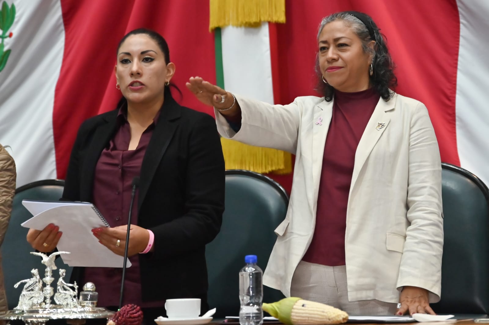 Secretaria del Campo precisó a diputadas de MORENA, que si hay respaldo a jóvenes campesinos