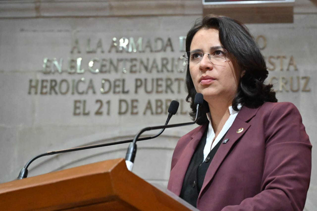 Plantean restricciones recreativas para personas deudoras alimentarias