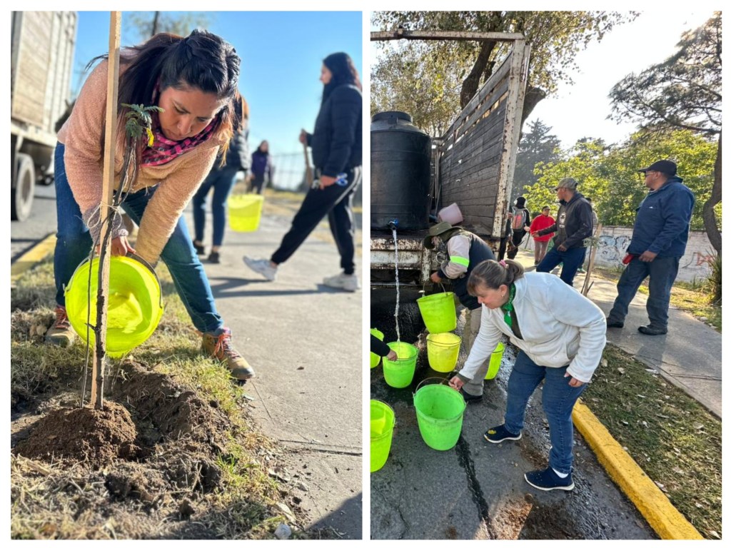 Toluca cultiva su futuro verde: Servidores Públicos cuidan el arbolado de Paseo&nbsp;Matlazincas