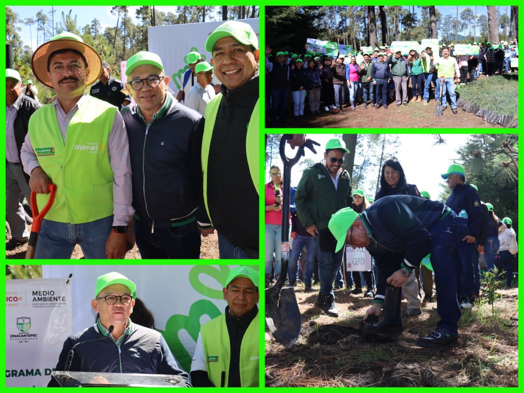 Zinacantepec apuesta por el futuro al iniciar su programa de reforestación&nbsp;2026
