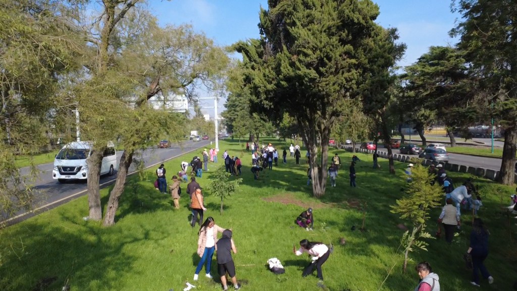 Toluca siembra futuro con 15 mil&nbsp;árboles