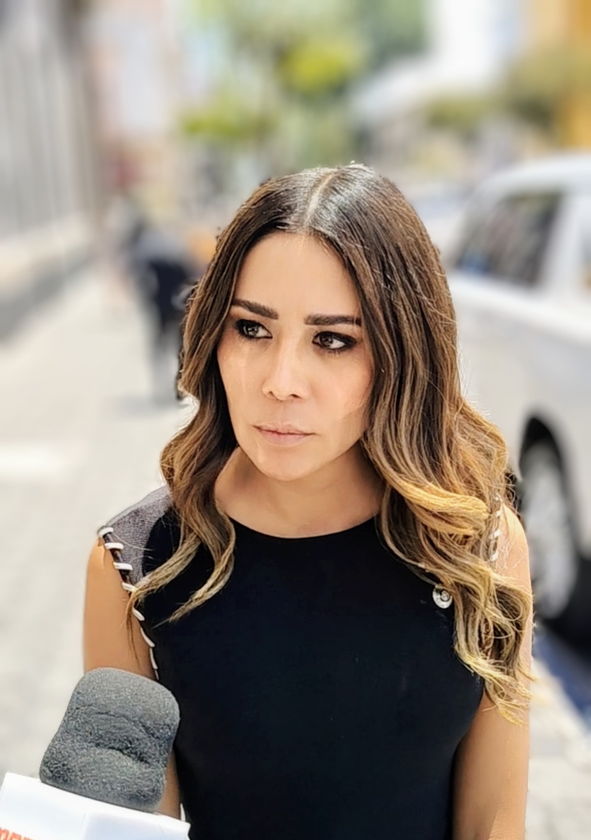 Vanessa Linares exige cero impunidad contra talamontes