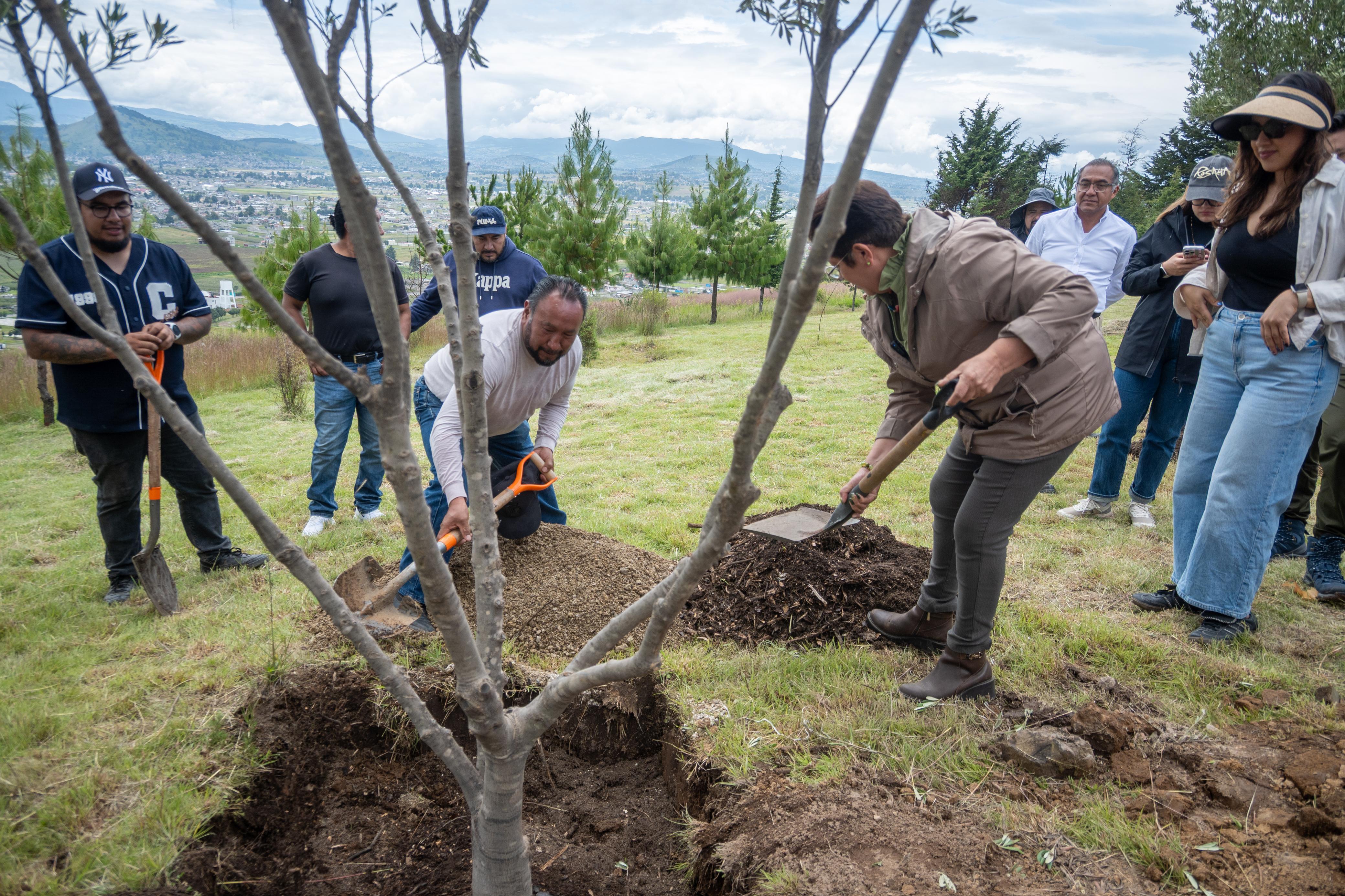 Sembrar vida para recuperar el cerro del Perico